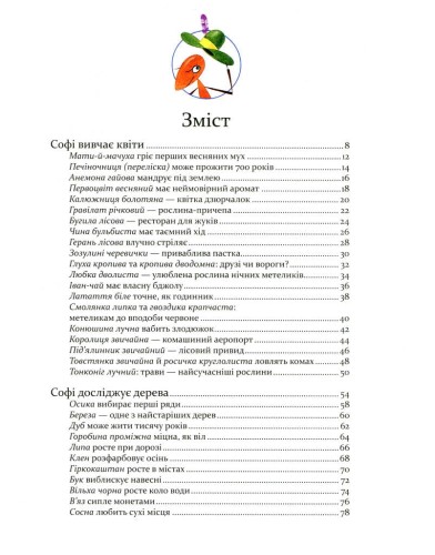 Експедиція з мурахою Софі2.jpeg