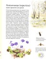 Експедиція з мурахою Софі8.jpeg