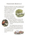 Ожиновий живопліт. Літня історія  3.jpeg