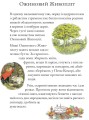 Ожиновий живопліт.  Зимова історія3.jpeg
