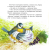 Screenshot_2020-12-01 Ухти-Тухти(1).png