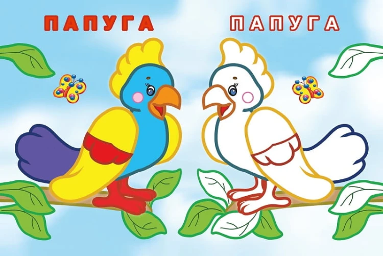 Упізнай і розфарбуй(Кіт і рибка)