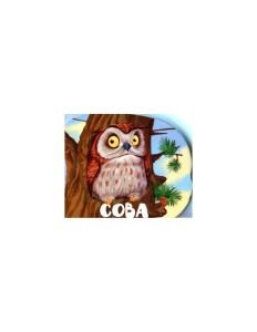 Сова