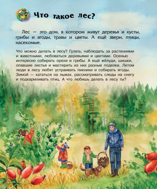 Лес. Энциклопедия дошкольника2.jpg