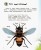 Комахи2.jpg