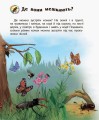 Комахи4.jpg