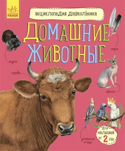 длмашние животные.webp
