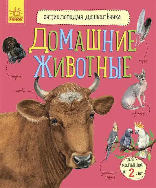 длмашние животные.webp