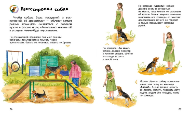 Собаки. Энциклопедия дошкольника2.jpg