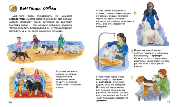 Собаки. Энциклопедия дошкольника3.jpg
