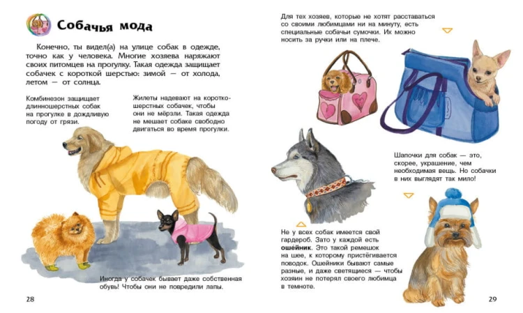 Собаки. Энциклопедия дошкольника4.jpg