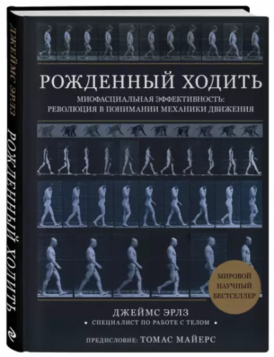 Screenshot_2020-12-10 Рождённый ходить Миофасциальная эффективность Революция в понимании механики движения.png