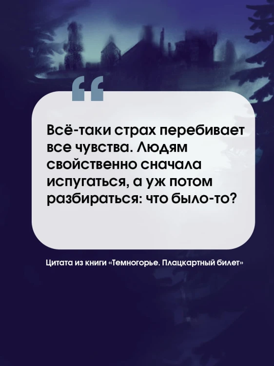 Темногорье. Плацкартный билет