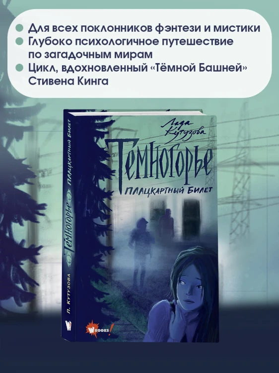 Темногорье. Плацкартный билет