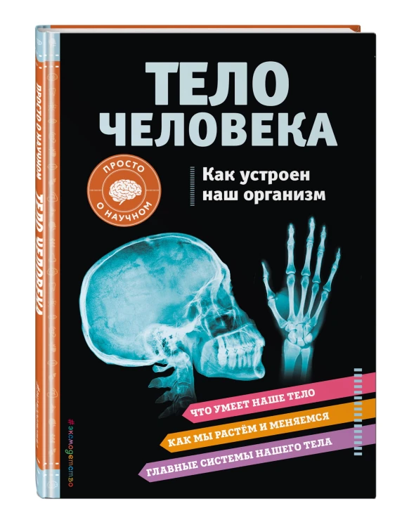 ТЕЛО ЧЕЛОВЕКА. Как устроен наш организм
