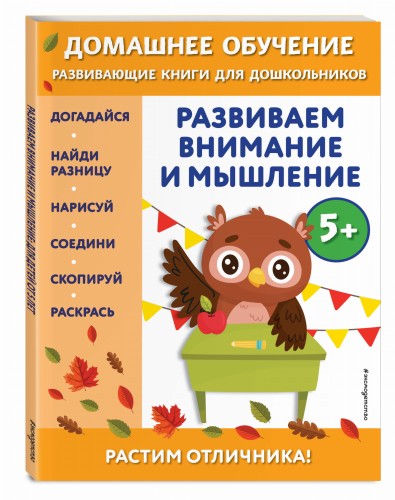 Развиваем внимание и мышление: для детей от 5 лет