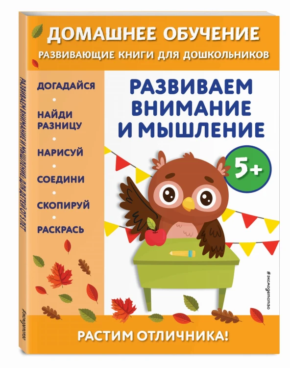 Развиваем внимание и мышление: для детей от 5 лет