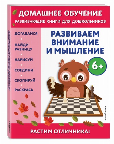 Развиваем внимание и мышление: для детей от 6 лет