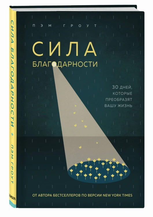 Сила благодарности. 30 дней, которые преобразят вашу жизнь