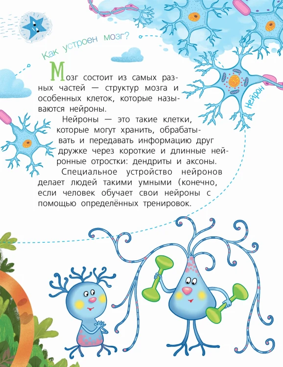 Мозг