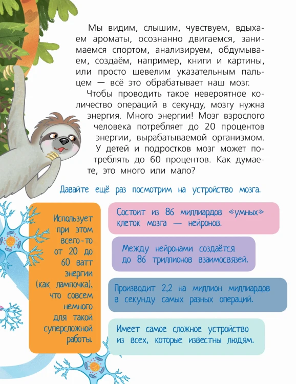 Мозг