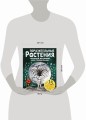 Поразительные растения, которые выглядят как пришельцы