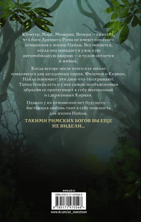 Проклятие богини. За гранью вечности