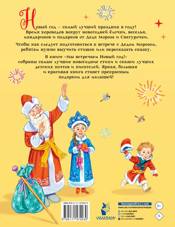 Мы встречаем Новый год!