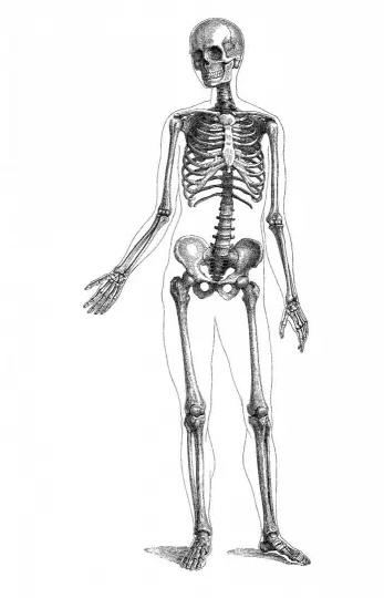 Screenshot_2020-12-26 Encyclopedia Pathologica Модицина(1).png