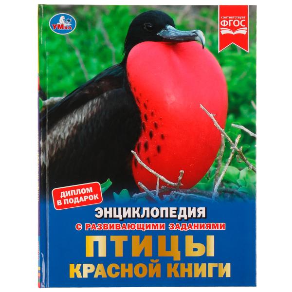 Птицы Красной книги. Н. В. Седова. Энциклопедия с развивающими заданиями. 48 стр. Умка в кор.15шт