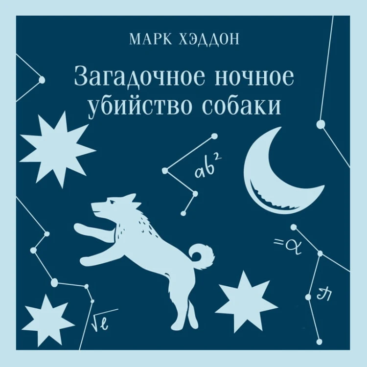 Загадочное ночное убийство собаки