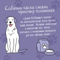Давай погаворим. Как понять язык собаки