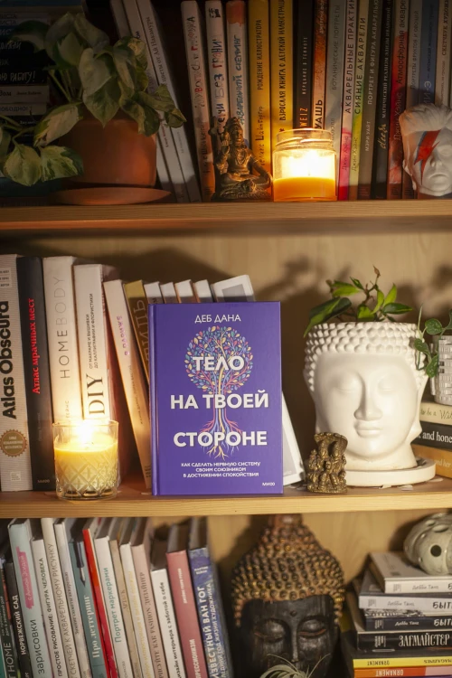 Тело на твоей стороне. Как сделать нервную систему своим союзником в достижении спокойствия