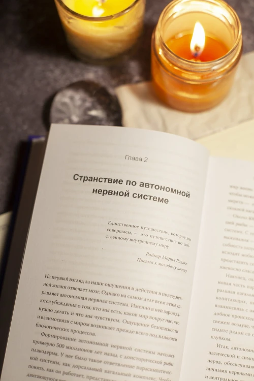 Тело на твоей стороне. Как сделать нервную систему своим союзником в достижении спокойствия
