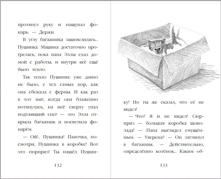 Котёнок Пушинка, или Рождественское чудо