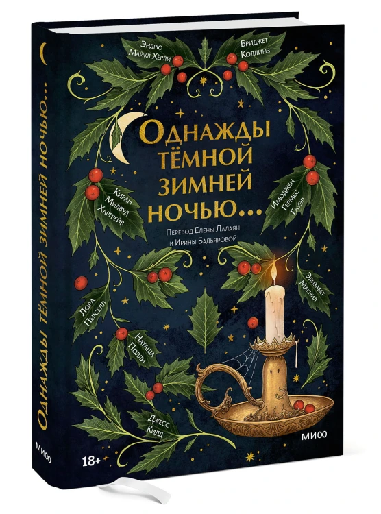 Однажды темной зимней ночью...