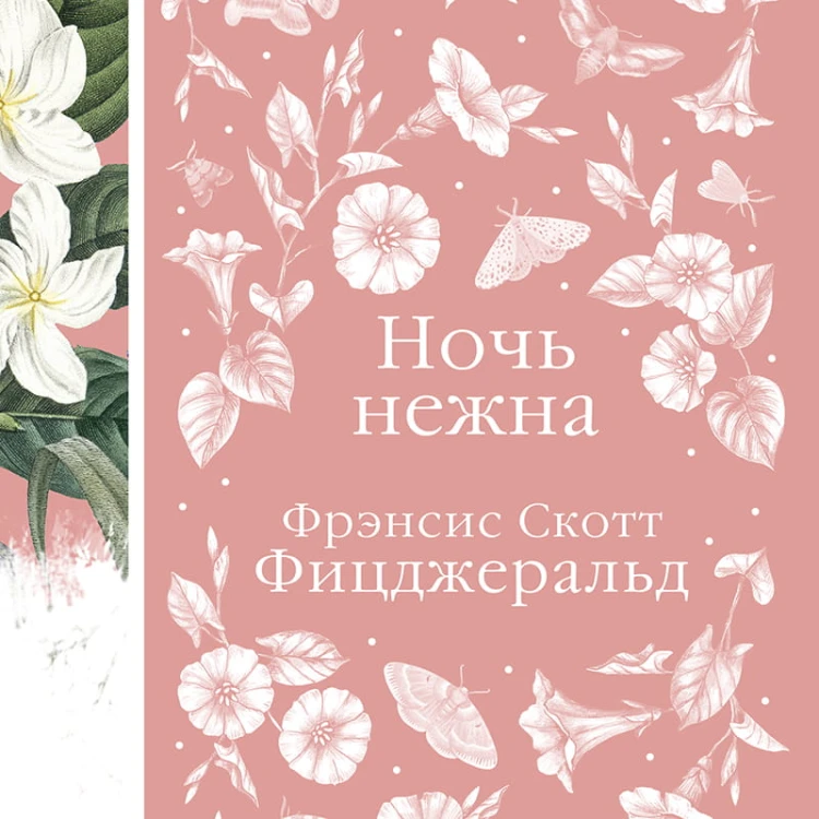Ночь нежна