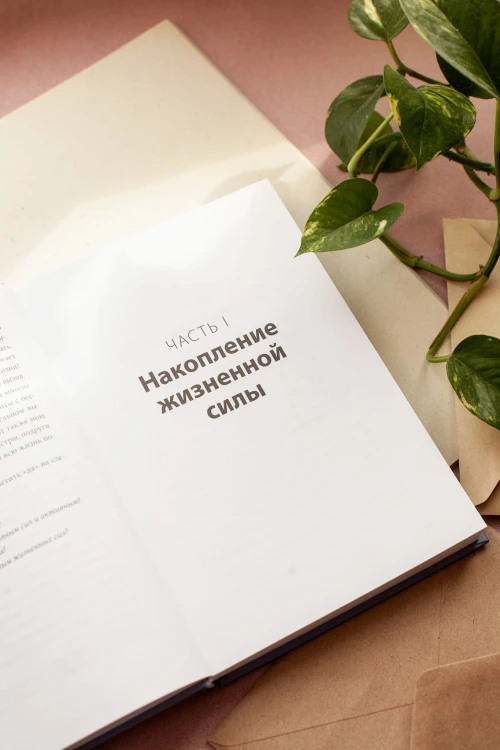 Больше силы в каждом дне. Источники жизненной силы для самого важного