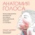 Анатомия голоса. Иллюстрированное руководство для певцов, преподавателей по вокалу и логопедов