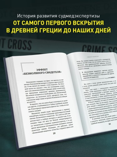 Гиблое дело. Как раскрывают самые жестокие и запутанные преступления, если нет улик и свидетелей