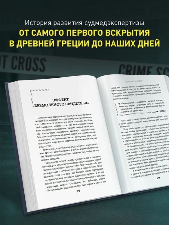 Гиблое дело. Как раскрывают самые жестокие и запутанные преступления, если нет улик и свидетелей