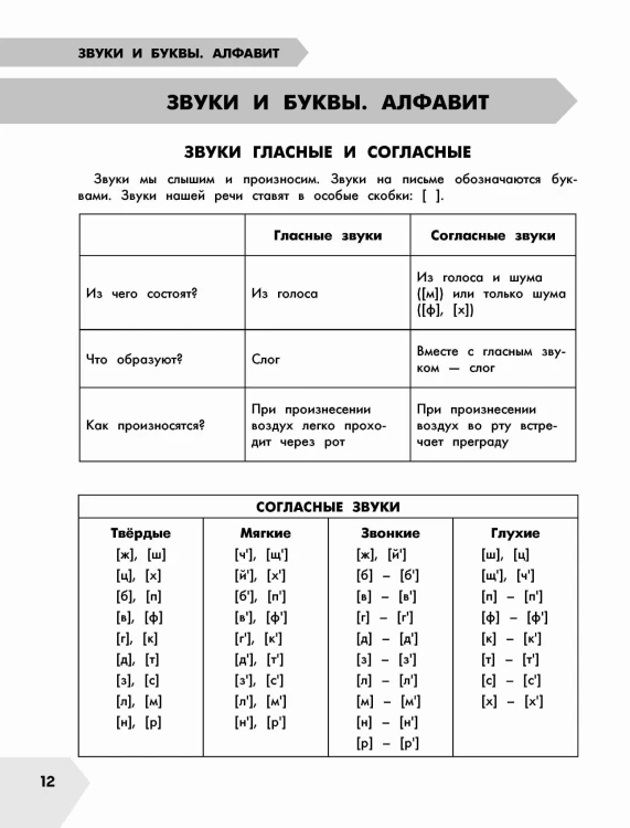 Русский язык в схемах и таблицах. Все темы школьного курса 1 класса с тестами.