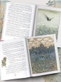 Дюймовочка. Сказки. Рис. Б. Диодорова