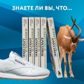 Изобретатель кроссовок. История основателя Reebok