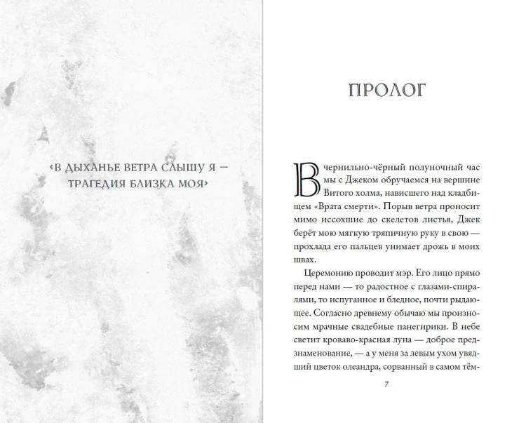 Кошмар перед Рождеством. Салли и похититель грёз
