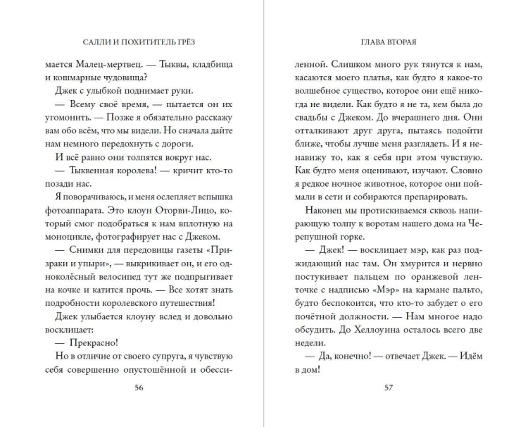Кошмар перед Рождеством. Салли и похититель грёз