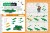 LEGO Зоопарк. 50 моделей животных из LEGO® от мала до велика