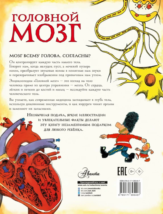 Головной мозг
