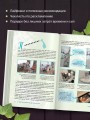 Идеальный дом, идеальное пространство. Удобная методика расхламления и организации пространства без суеты