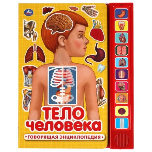 Тело человека (10 зв. кн. говорящ.) 233х302мм 10стр Умка в кор.24шт